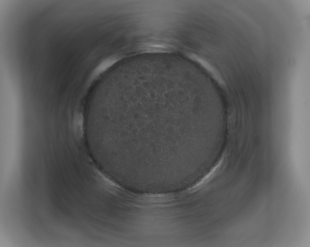 X0000111161402200907071120