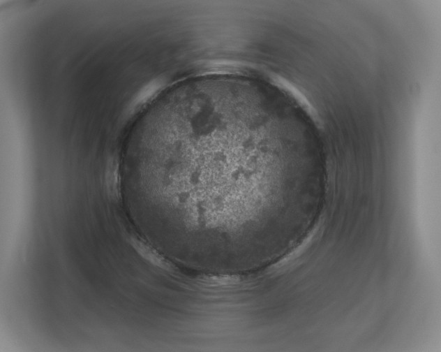 X0000111161403200907071120