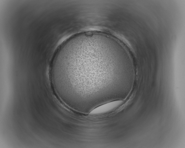 X0000111161404200907071120