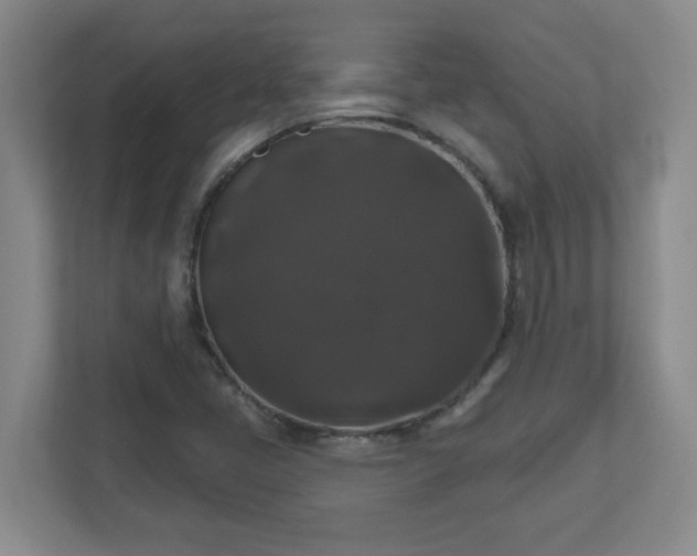X0000111161405200907071120