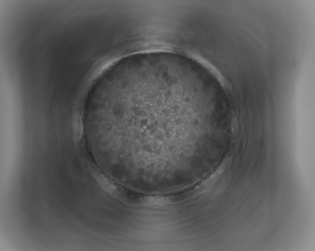X0000111161407200907071120