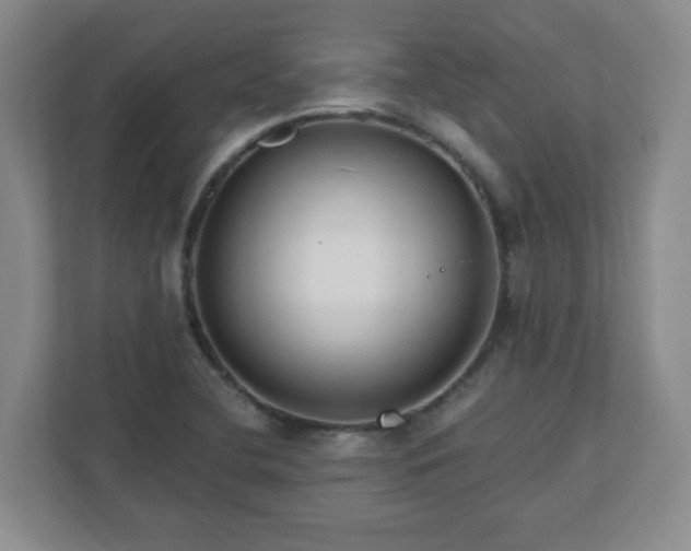 X0000111161412200907071120