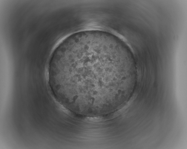 X0000111161415200907071120