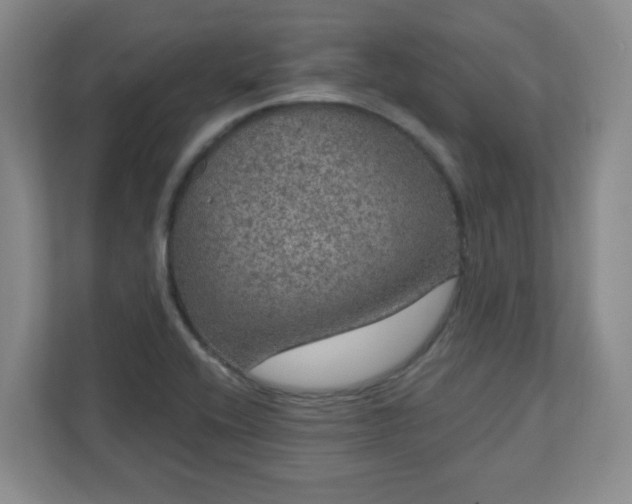 X0000111161416200907071120