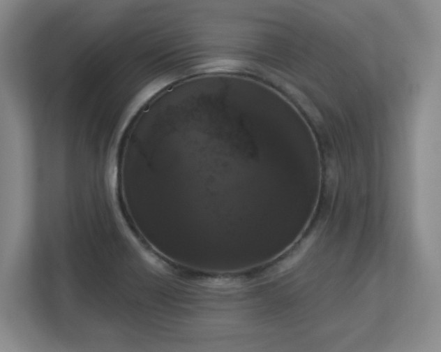 X0000111161418200907071120