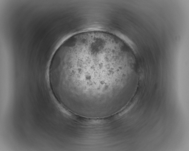 X0000111161423200907071120