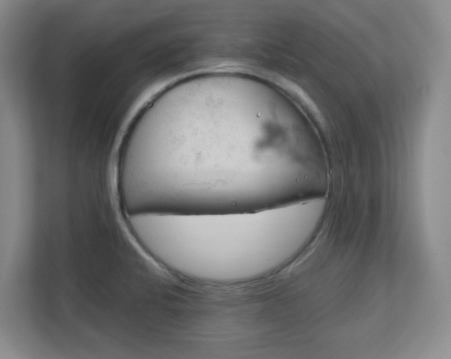 X0000111161424200907071120