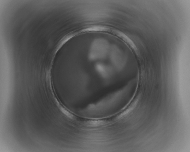 X0000111161425200907071120