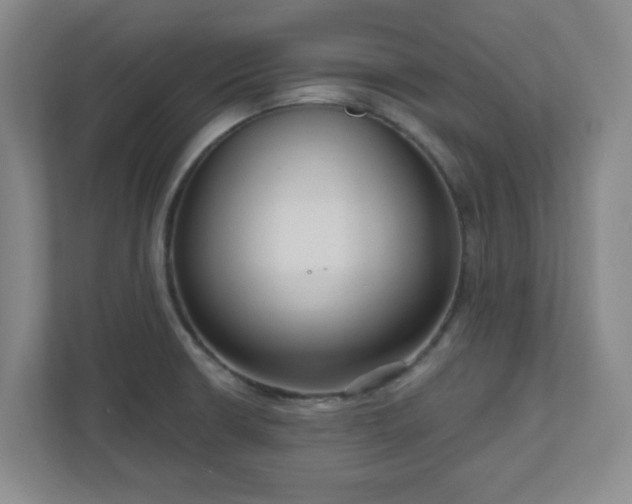 X0000111161426200907071120