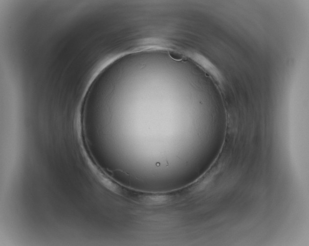X0000111161431200907071120