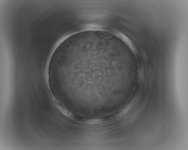 X0000111161435200907071120
