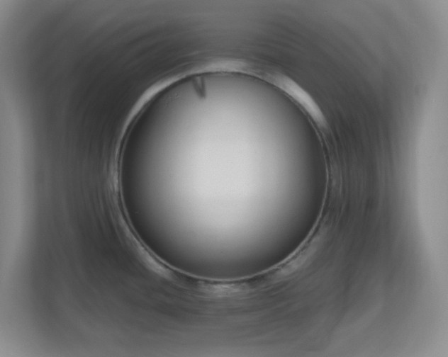 X0000111161436200907071120