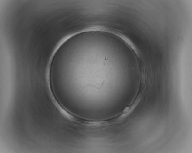 X0000111161438200907071120