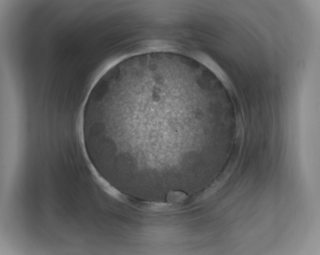X0000111161439200907071120
