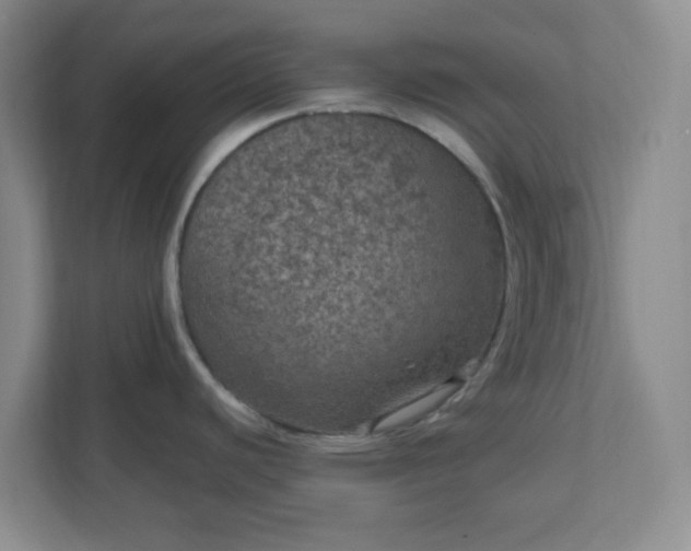 X0000111161440200907071120