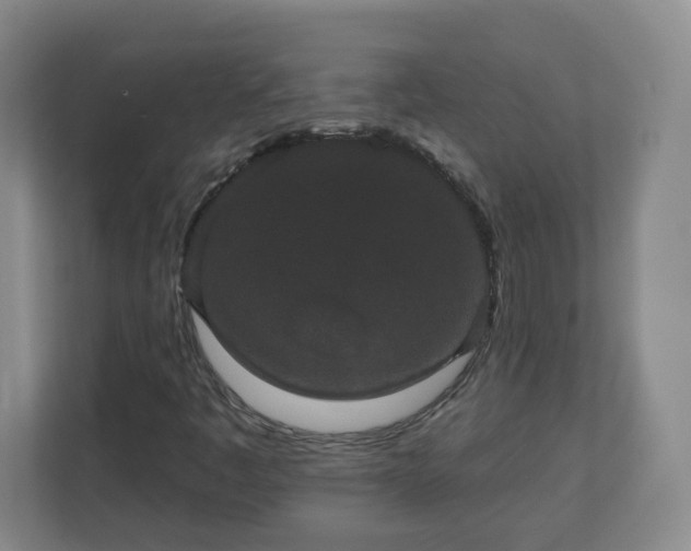 X0000111161445200907071119