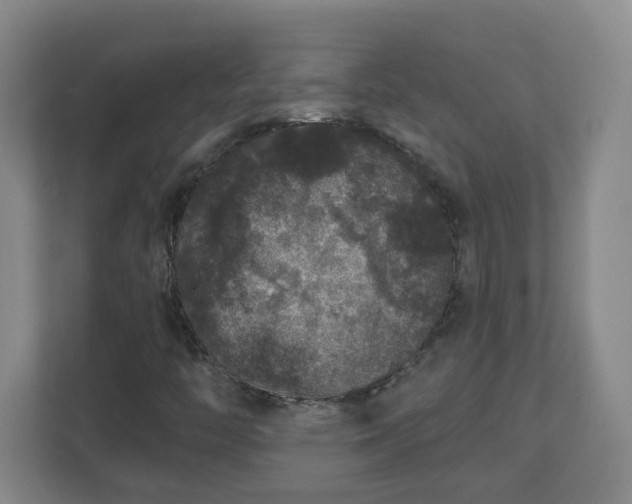 X0000111161446200907071119