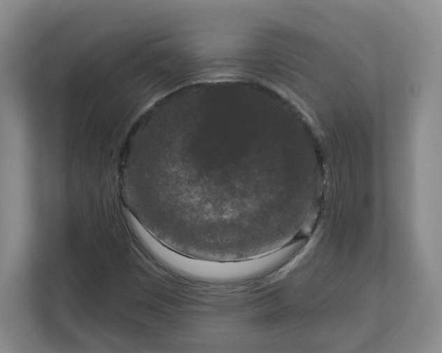 X0000111161449200907071119