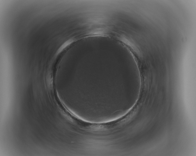 X0000111161450200907071119