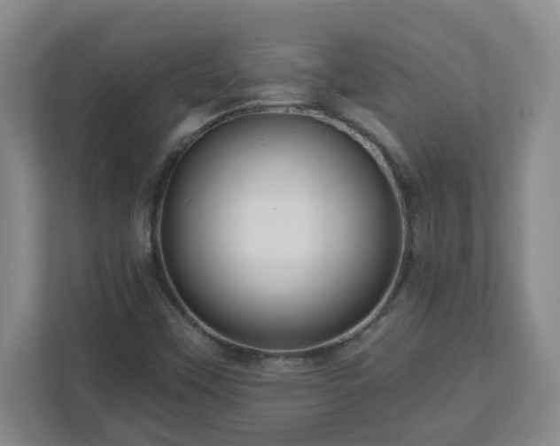 X0000111161451200907071119