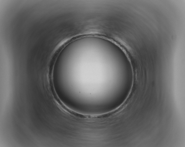 X0000111161452200907071119