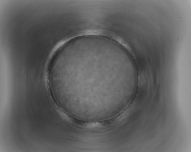 X0000111161454200907071119