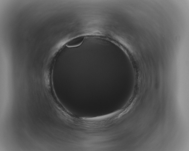 X0000111161455200907071119