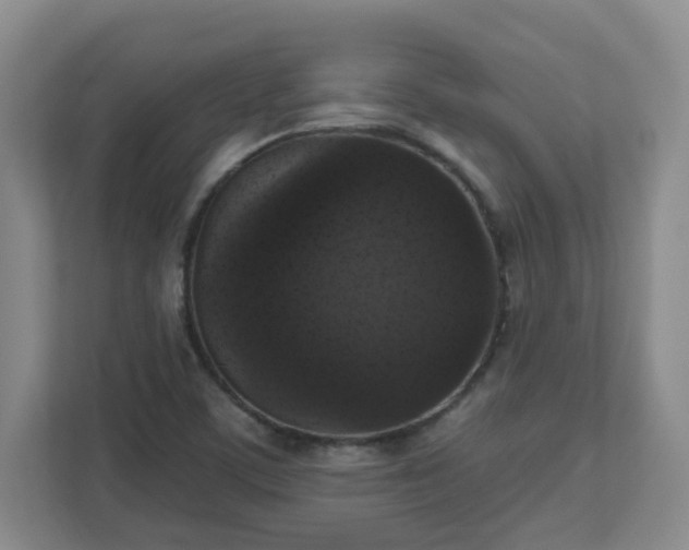 X0000111161459200907071119