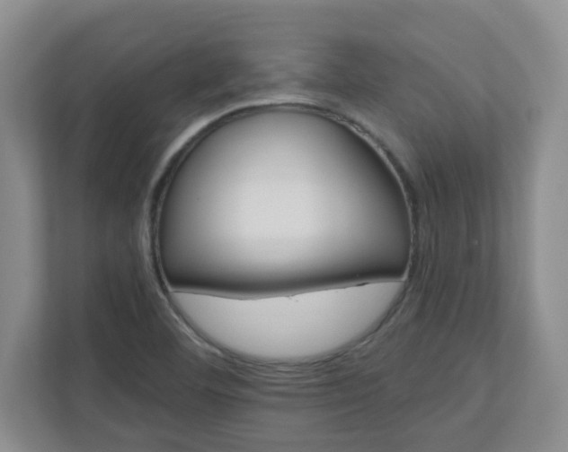 X0000111161460200907071119