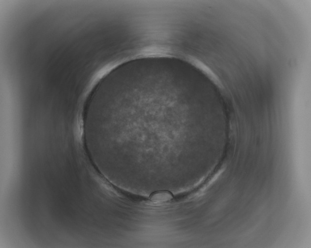 X0000111161461200907071119
