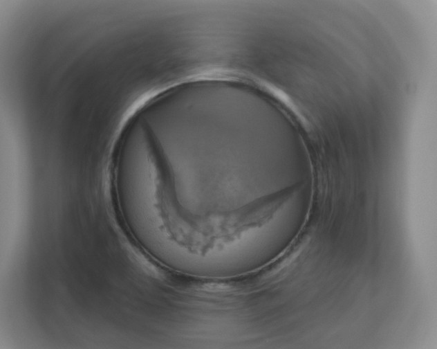 X0000111161463200907071119