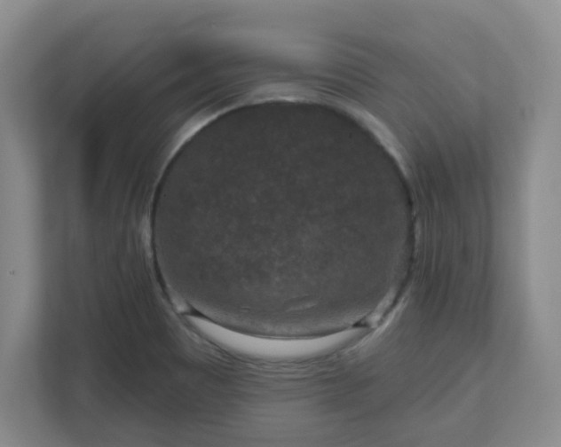 X0000111161465200907071119