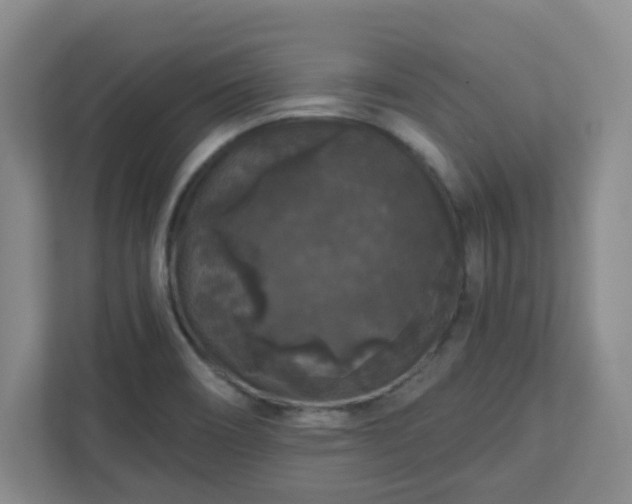 X0000111161466200907071119