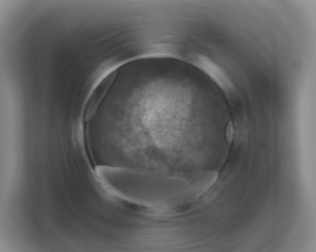 X0000111161468200907071119