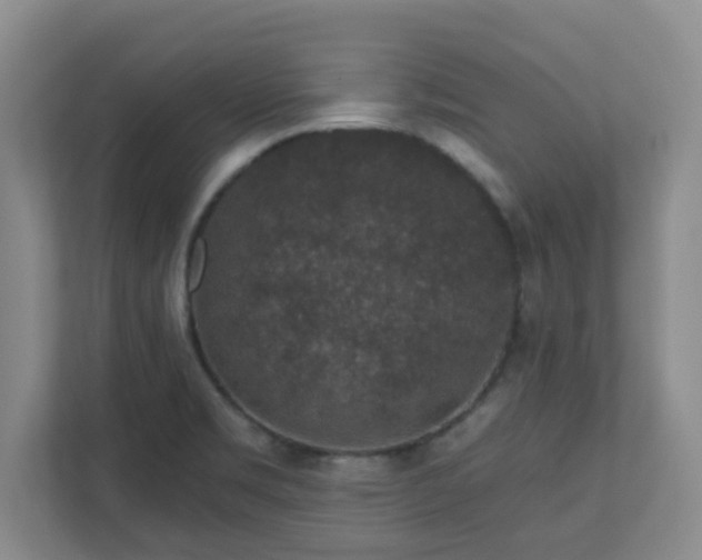X0000111161469200907071119
