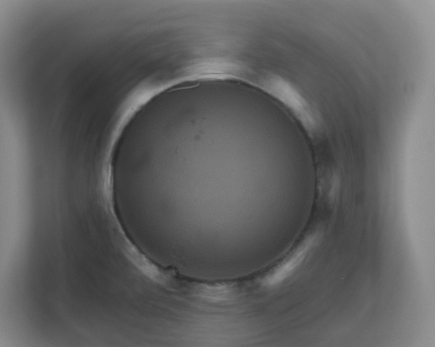 X0000111161472200907071119