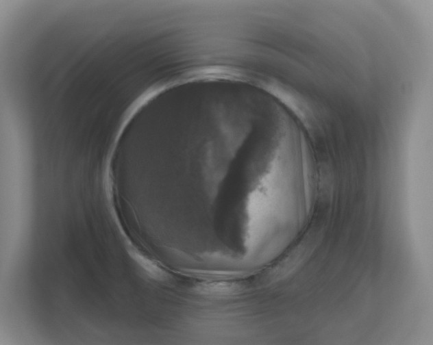 X0000111161474200907071119