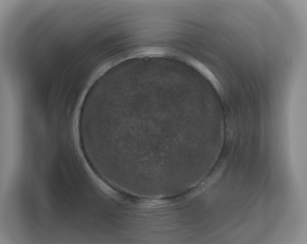 X0000111161475200907071119