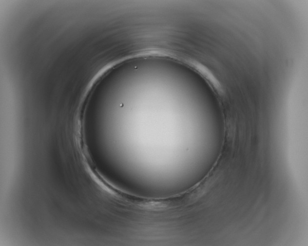 X0000111161476200907071119