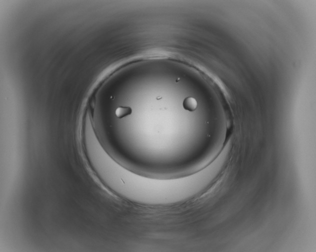 X0000111161477200907071119