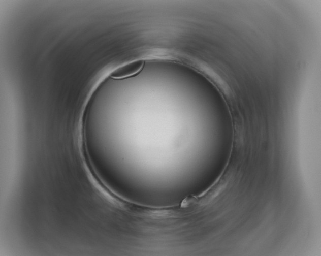 X0000111161479200907071119