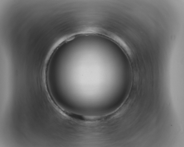 X0000111161480200907071119