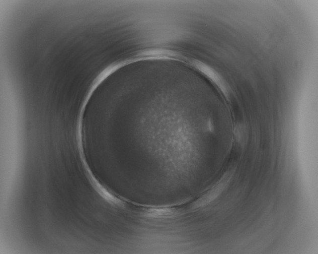 X0000111161482200907071119
