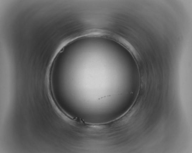 X0000111161483200907071119