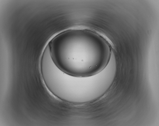 X0000111161484200907071119