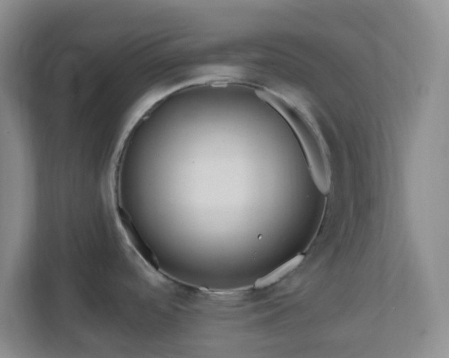 X0000111161488200907071119