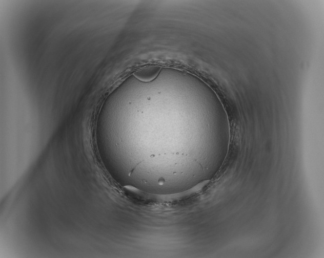 X0000111161489200907071118