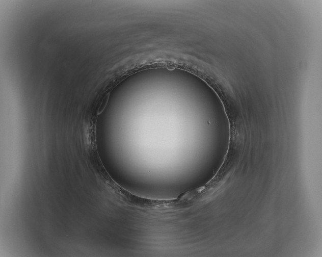X0000111161490200907071118