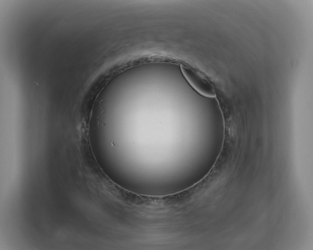 X0000111161495200907071118