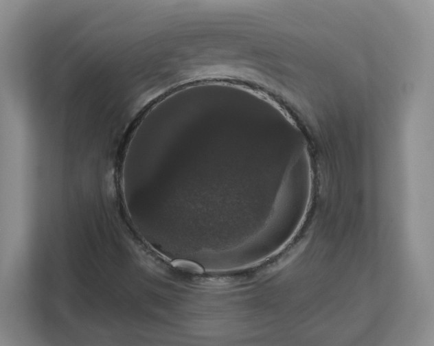X0000111161497200907071118